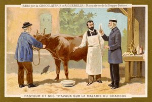 Louis Pasteur pracoval na nalezení léku proti antraxu od Unbekannter Künstler