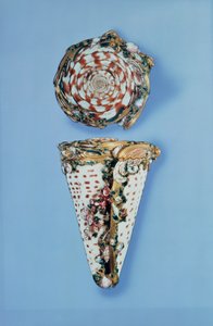 Zlaté tabatěrky Ludvíka XV ve formě mušlí od B. Sagareta, Paříž (1715-74) od Unbekannt