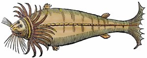 Mořský tvor, xylografie převzata z "Paralipomena accuratissima historiae omnium animalium quae in voluminibus Aldrovandi desiderantur/Bartholomaeus Ambrosinus... summo labore collegit; Marcus Antonius Berna bibliopola bononiensis propriis sumptibus i od Unbekannter Künstler