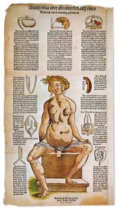 Medicína: anatomická tabule popisující ženskou anatomii z renesančního lékařského pojednání. Kolem postavy sedící ženy jsou uvedeny a znázorněny životně důležité orgány, jako jsou játra, plíce a bránice, žaludek a pohlavní ústrojí. Barevná rytina od Unbekannter Künstler