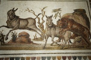 Mozaika zvířecích bojů: tygr napadl dva noční primagresy. II s AD/Musee d