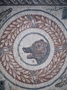 Mozaika peristylu. Detail představující medvědí hlavu. 3. - 4. století. Římská vila Casale, Sicílie. Místo UNESCO. od William M. Timlin