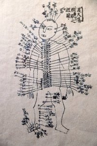 Muzeum tradiční vietnamské medicíny, kanály a nádoby, kniha akupunktury, Ho Či Minovo město, Vietnam od Unbekannt