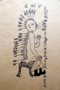 Muzeum tradiční vietnamské medicíny, kanály a nádoby, kniha akupunktury, Ho Či Minovo město, Vietnam od Unbekannt