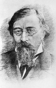 Nikolai G, Chernyshevsky (1828 - 1889), z rytiny. od Unbekannt