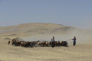 Nomádské stany mezi Tamar a Ashkhaneh, Írán 2022 (fotografie) od Unbekannter Künstler