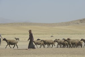Nomádské stany mezi Tamar a Ashkhaneh, Írán 2022 (fotografie) od Unbekannter Künstler