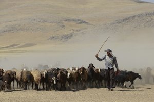 Nomádské stany mezi Tamar a Ashkhaneh, Írán 2022 (fotografie) od Unbekannter Künstler