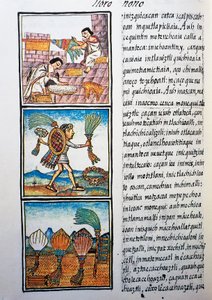 Zpracování peří, text v nahuati, z faksimile rukopisu Obecná historie věcí Nového Španělska, také známý jako Florentský kodex, od Bernardina de Sahagun od William M. Timlin