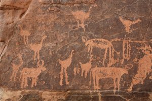 Skalní umění, pravěk: Detail rytiny souboru pštrosů a dobytka v masivu Uweinat, Egypt (období 8000 až 3000 let před naším letopočtem). Fotografování od Unbekannt