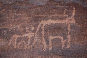 Skalní umění, Prehistorie: Rytina krávy a jejího tele v masivu Uweinat, Egypt. (Období od 8000 do 3000 let před naším letopočtem). Fotografování od Unbekannt