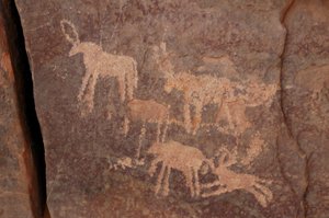 Skalní umění, Pravěk: Rytina souboru antilop a psa (vpravo dole) v masivu Uweinat, Egypt. (Období od 8000 do 3000 let před naším letopočtem). Fotografování od Unbekannt