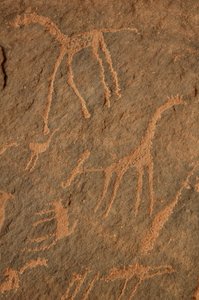 Skalní umění, Pravěk: Rytina žiraf, pštrosů, dalších zvířat a postav v masivu Uweinat, Súdán (Karkur-Talh nebo Karkur Talh). Období od 8000 do 3000 let před naším letopočtem. Fotografování od Unbekannt