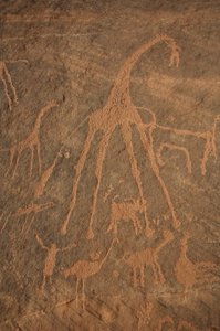 Skalní umění, Prehistorie: Rytina žiraf, pštrosů, ovcí a postav v masivu Uweinat, Súdán (Karkur-Talh nebo Karkur Talh). Období od 8000 do 3000 let před naším letopočtem. Fotografování od Unbekannt