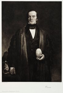 Sir Richard Owen, anglický přírodovědec a paleontolog, c 1845 od Unbekannt