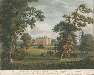 Teddesley Hall: barevná rytina akvatinty, nd [c 1825] od Unbekannt