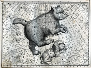 Boreální souhvězdí: Velký medvěd a Malý lev. Rytina z knihy Camille Flammarion „Hvězdy a další kuriozity nebe“ od Unbekannt