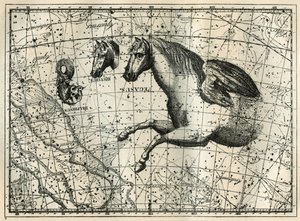 Souhvězdí Pegase kreslí jako přední polovina koně s párem křídel, Malý kůň, koňská hlava a delfín. Rytina z „Les étoiles et les autres curiosites du ciel“ od Camille Flammarion od Unbekannt