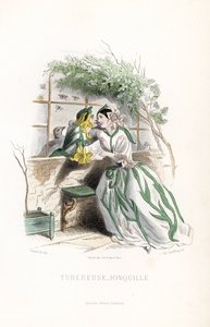 Hlízový poplatek a elfí narcis se dvoří na zahradní lavičce u zdi - Eau forte, Charles Geoffroy (1819-1882), podle ilustrace Jeana Ignace Isidora Gerarda dit J.J.Granville (1803-1847) pro Les fleurs animees. od Unbekannter Künstler