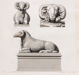 Thebes od Unbekannt
