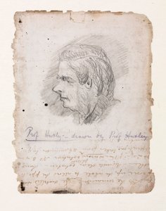 Thomas Henry Huxley, anglický biolog, polovina konce 19. století od Unbekannt