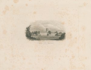 Trentham Hall: ocelorytina od Unbekannt