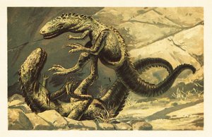 Dva bojující Dryptosaurus aquilunguis. 1908 (litografie) od Unbekannter Künstler