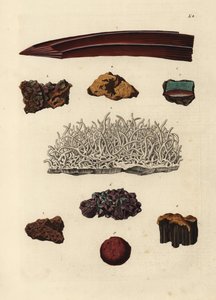 Odrůdy železné rudy. Ručně kolorovaná mědirytina podle ilustrace z knihy Georga Wolfganga Knorra Deliciae Naturae Selectae of Kabinet van Zeldzaamheden der Natuur, Blusse and Son, Norimberk. od Unbekannter Künstler