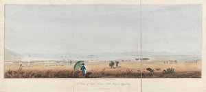 Pohled na Kapské Město, Stolový záliv a kopce Tygerberg (Jihoafrická republika). Litografie (26,5x53,5 cm), J.W. Burchell od Unbekannter Künstler