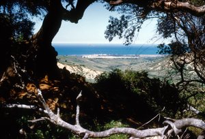 View of the Mediterranean Sea, Kabylia, Algeria   1420849   cs       czech Successfully Translated  Original: Orpheus and the Animals Orpheus charming the beasts Translat: Orpheus and the Animals Orpheus charming the beasts 1395197 cs czech Successfully Tr od Unbekannter Künstler