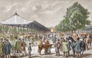 Pohled na koňský trh v 5. pařížském obvodu Rytina Les stages d