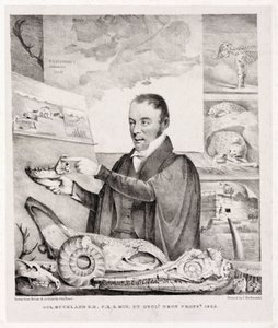 William Buckland , geolog od Unbekannt