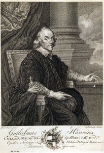 William Harvey, anglický lékař od Unbekannt