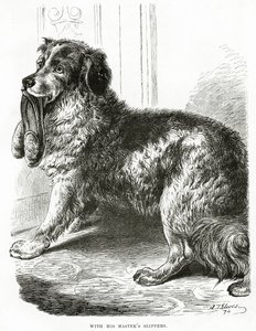 S pantoflemi svého pána 1902 (litho) od Unbekannt