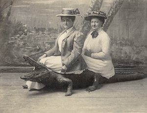 Ženy sedící na vycpaném aligátorovi, cca 1905 (černobílá fotografie) od Unbekannter Künstler
