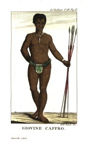 Mladý muž San s oštěpy, Jihoafrická republika. Od Francoise Le Vaillanta (Levaillant od Unbekannter Künstler
