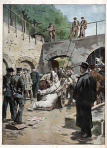 Zoo du Jardin des Plantes. Zoo v Jardin des Plantes. od Nicolas Liez