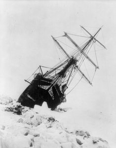 Císařská transantarktická expedice: Endurance uvízla v ledové zácpě, asi 1914-17 (foto)