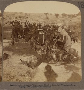 Napájení dělostřeleckých koní, Welgelegen, Jižní Afrika od Underwood and Underwood