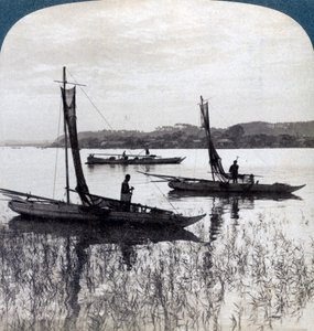 Rybářské lodě připlouvající domů při západu slunce, poblíž Jokohamy, Japonsko, 1904. od Underwood and Underwood