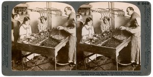 Výroba hedvábí, Sýrie, 1900s. od Underwood and Underwood
