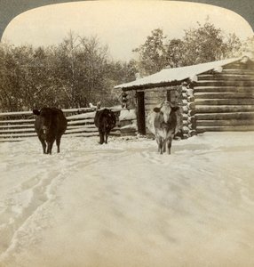 Zima na ranči, Montana, USA. od Underwood and Underwood