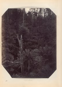 Austrálie – (Victoria and South Australia) od Unknown