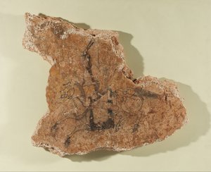 Fragment nástěnné malby s jezdcem na koni od Unknown