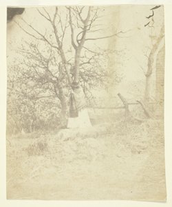 paní Craiková od Unknown