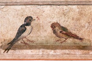 Vlaštovka a vrabec, římská nástěnná malba z Boscoreale u Pompejí, 1. stol od Unknown