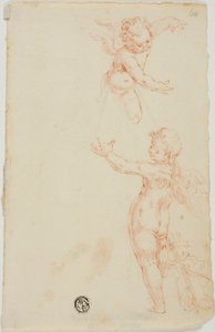 Dva okřídlení putti, jeden létající od Unknown