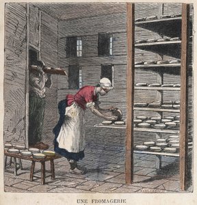 Sýrárna. ilustrace 19. století. Kolekce Bianchetti. od Unknown artist