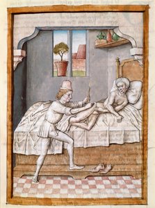 Lékař ošetřuje miniaturního pacienta z německého překladu bajek „Kalila (Calila) a Dimna“ od Bidpaie. (ms. 1389, fol. 23) kolem 1480 Chantilly, muzeum Conde od Unknown artist
