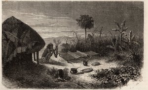 Tkadlec a jeho tkadlec na břehu řeky Zambeze. Rytina pro ilustraci prvních plaveb Dr. Livingstonea do jižní Afriky v letech 1840 až 1856 v „Le tour du monde, nouveau journal des voyages““ vydaném pod vedením Edouarda Chartona od Unknown artist